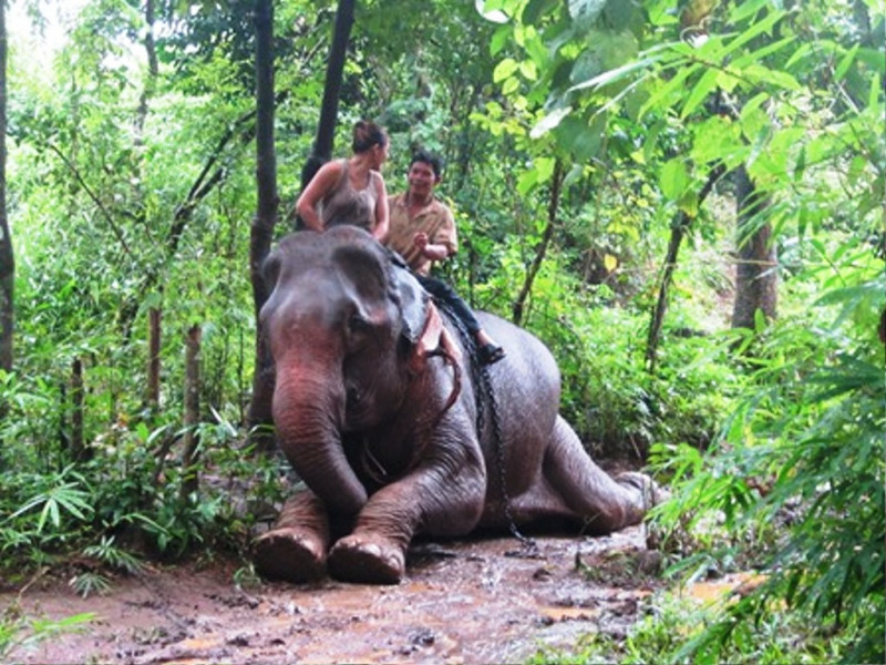 PHNOM PENH &ndash; RATTANAKIRI &ndash; MONDULKIRI 6DAYS/5NIGHTS