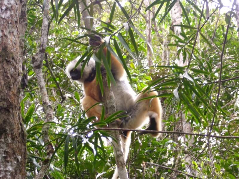 Visit Palmarium Reserve